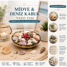 Go İthalat Ahşap Yuvarlak Sepet - Fileli Renkli Mix Midye - Deniz Kabuk Vazo Taşı (5297)