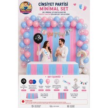 Deha Party Cinsiyet Belirleme Parti Seti; Banner, Cinsiyet Öğrenme Balonu, Boy Or Girl Kuşak, Folyo Balon ve Balon Zincir Seti Konsept