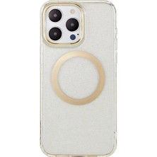 sbodurhome    iPhone 14 Pro Max Tanya Magsafe Kapak - Desen 10