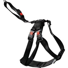 Canarino Karlie Naylon Araç Emniyet Kemeri, Evcil Hayvanlar Için, S, 35-50 Cm, Siyah