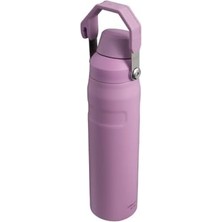 Canarino Aerolight Iceflow Içecek Şişesi, 0.60 Litre, Lila