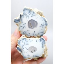Healcrystal Dendritik Rüyalar: Bölünmüş Opal - Merlinit, 185G
