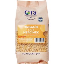 Ots Organik Sarı Mercimek 750 G (3'li Paket)