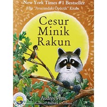 Canarino Cesur Minik Rakun