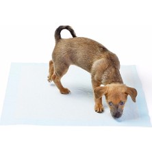 Hereveoyuncak Yıkanabilir Köpek Çiş Pedi - 90 x 60 Cmm