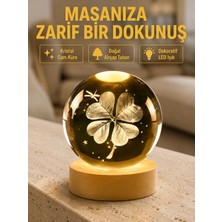 Zenviaa Bitki Temalı LED Işıklı Cam Küre Ahşap Standlı Modern Gece Lambası ZNV20245