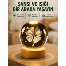 Zenviaa Yonca Figürlü Cam Küre USB Işıklı Ahşap Tabanlı Dekoratif Masa Lambası ZNV20245