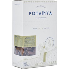 Potamya Organik Yeşil Mercimek Penne 240 G (6'li Paket)