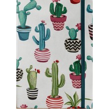 Defterci Kaktüsler