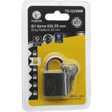 Tudor TD-G25MM Asma Kilit Vakumlu Kısa Kancalı Gri