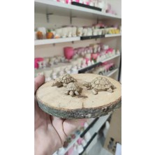 Himi Pasta Süsleri 3'lü Kaplumbağa Maket Kürdanlı Cupcake Pasta Süsü Doğum Günü Süsleri Pasta Kürdanı