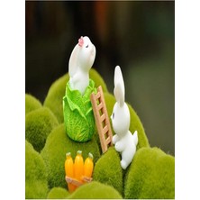 Himi Pasta Süsleri Tavşan Set 5 Parça Maket Kürdanlı Cupcake Pasta Süsü Doğum Günü Süsleri Pasta Kürdanı