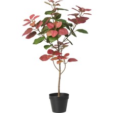 IKEA Fejka Kırmızı 12 cm Yapay Bitki