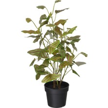IKEA Fejka Yeşil 9 cm Yapay Bitki