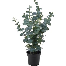 IKEA Fejka Yeşil 15 cm Yapay Bitki