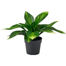 IKEA Fejka Yeşil 9 cm Yapay Bitki