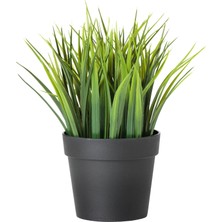 IKEA Fejka Yeşil 9 cm Yapay Bitki