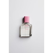 Zara Orchıd Edp 30 ml (1.0 Fl. Oz).