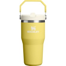Stanley Iceflow Flip Straw Tumbler Pipetli Termos