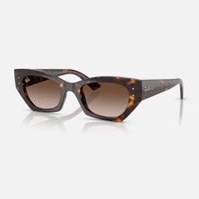 Ray-Ban Güneş Gözlüğü RB4430 52 135913