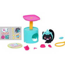 Qt Kitties Ash Yavru Kedi