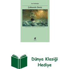 Ayrıntı Yayınları Çalkantılı Deniz + Dünya Klasiği Hediye