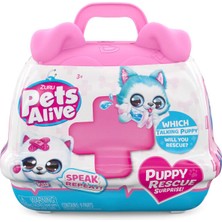 Pets Alive Sürpriz Hasta Köpeğim