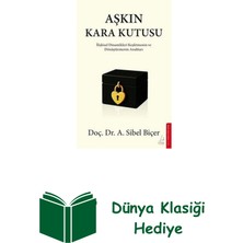 Destek Yayınları Aşkın Kara Kutusu - Ilişkisel Dinamikleri Keşfe... + Dünya Klasiği Hediye