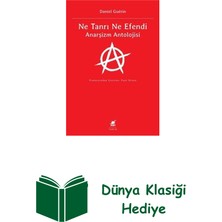 Ayrıntı Yayınları Ne Tanrı Ne Efendi - Anarşizm Antolojisi + Dünya Klasiği Hediye