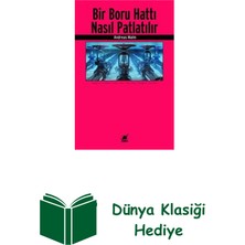 Ayrıntı Yayınları Bir Boru Hattı Nasıl Patlatılır + Dünya Klasiği Hediye