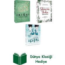 İndigo Kitap Francesc Miralles 3 Kitap Seti + Dünya Klasiği Hediye