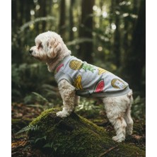 Miniş Tropical Küçük Irk Köpek Penye T-Shirt