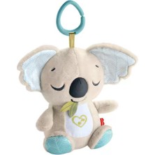 Fisher-Price Fisher Price Taşınabilir Uyku Arkadaşım Koala JBD65