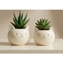 Sepetzone Kedi Yüzlü Saksı 2'li Set - Dekoratif Sevimli Kedi Saksı ve Kalemlik