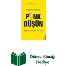 Destek Yayınları Punk Düşün-Yaratıcı Düşüncenin Yeni Şekli + Dünya Klasiği Hediye