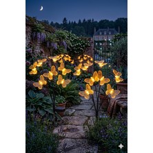 Dream Plus 8 Led'li Güneş Enerjili Dekaratif Bahçe Aydınlatması Bahçe Saksı Peyzaj Aydınlatması