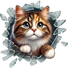 Hace Bazaar Fulcar Stray Araç Stickerı