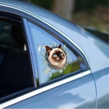 Hace Bazaar Fulcar Siamesse Araç Stickerı