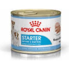 Royal Canin Starter Mousse Anne ve Yavru Köpek Konserve Maması 195GR