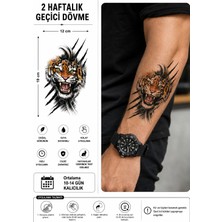 Tattoo Gerçekçi Renkli Kaplan Model Geçici Kol Bacak Geçici Sticker Yapıştırma Dövme