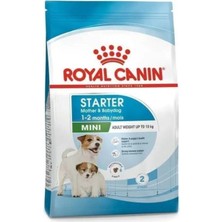 Royal Canin Mini Starter Küçük Irk Yavru Köpek Maması 1 kg