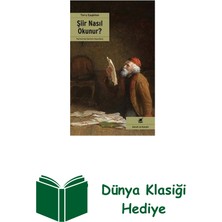 Ayrıntı Yayınları Şiir Nasıl Okunur? + Dünya Klasiği Hediye
