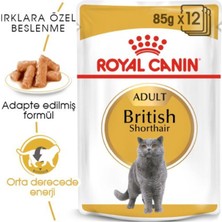 Royal Canin British Shorthair Yaş Kedi Maması 12 Adet x 85 gr