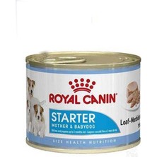 Royal Canin Starter Mousse Mother Babydog 12X195GR (12LI)