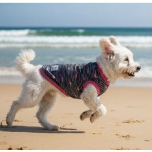 Miniş Flamingo Küçük Irk Köpek Ultra Esnek Penye T-Shirt