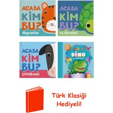 İndigo Çocuk Luke Robertson 4 Kitap Seti + Türk Klasiği Hediye