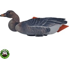 T. Nra Fud Bean Goose Kaz Mühre - (3 Erkek-3 Dişi)