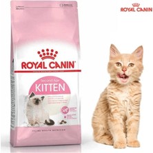 Royal Canin Kitten Tavuklu Yavru Kedi Maması 2 kg