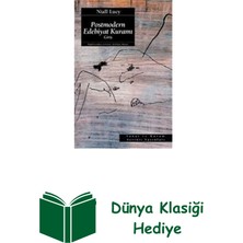 Ayrıntı Yayınları Postmodern Edebiyat Kuramı + Dünya Klasiği Hediye
