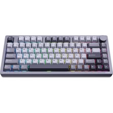Philips Evnia SPK8618 Mekanik Rgb 81 Tuş Usb/bluetooth/2.4g Kablosuz Oyuncu Klavyesi Gri